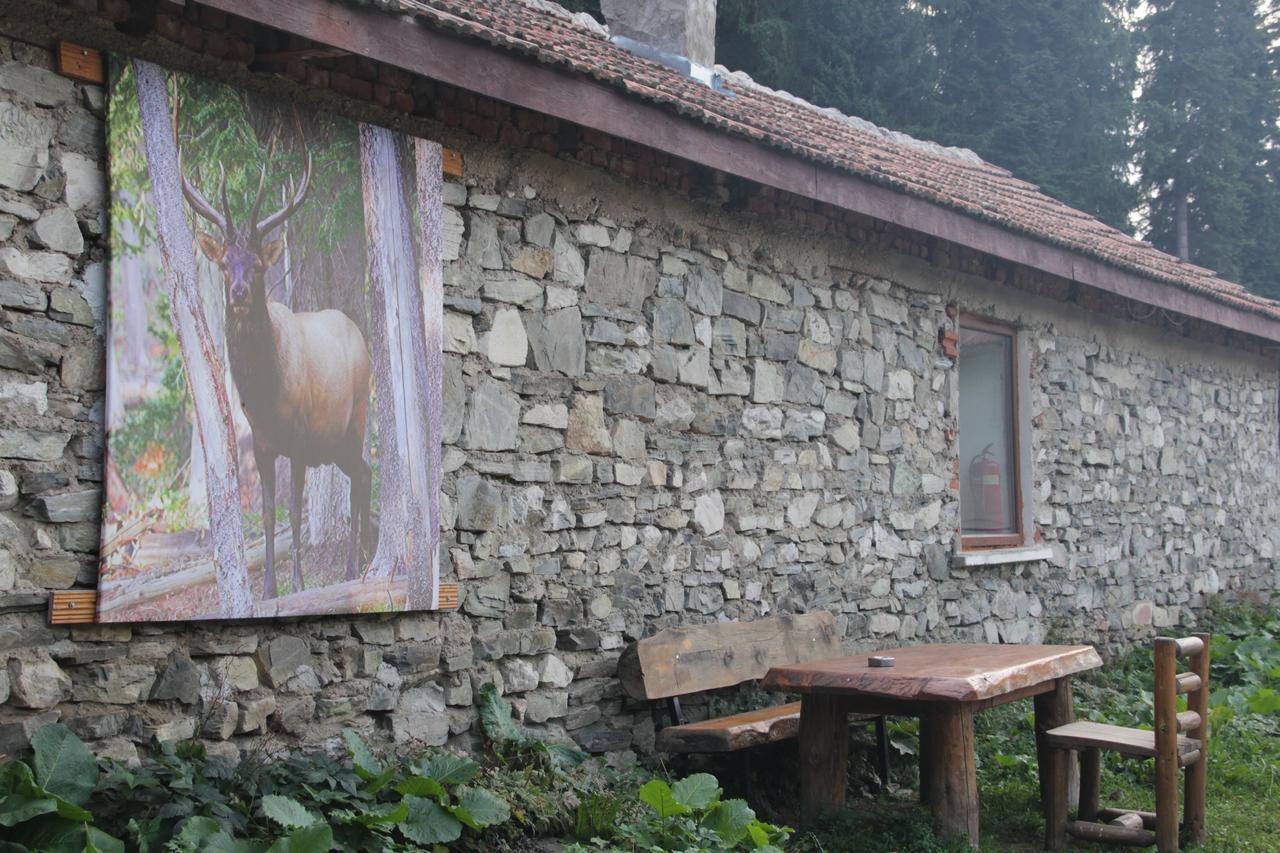 Malka Yurta Hut Villa Panichishte Luaran gambar